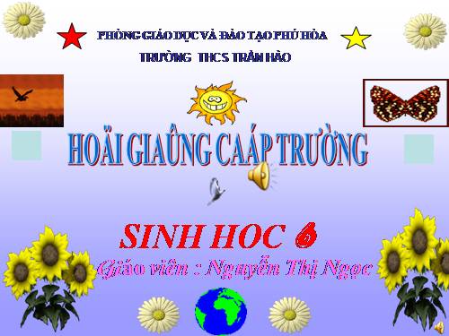 Bài 23. Cây có hô hấp không?