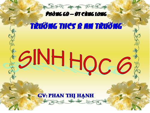 Bài 26. Sinh sản sinh dưỡng tự nhiên