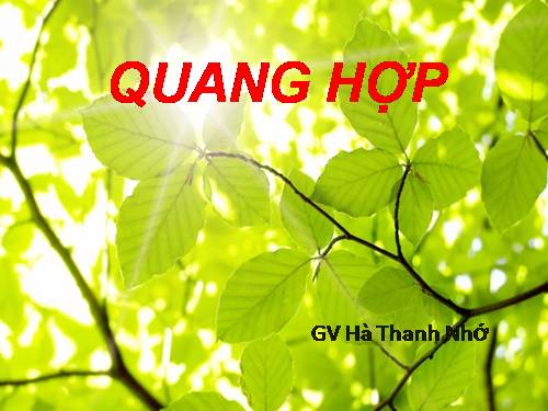 Bài 21. Quang hợp