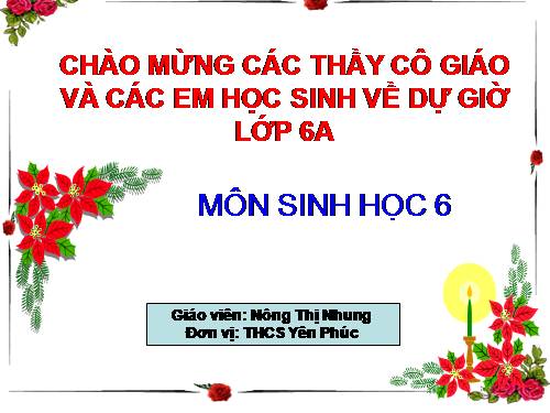 Bài 23. Cây có hô hấp không?