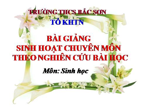 Cấu tạo trong phiến lá (SHCM)