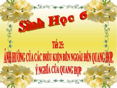 Bài 22. Ảnh hưởng của các điều kiện bên ngoài đến quang hợp, ý nghĩa của quang hợp