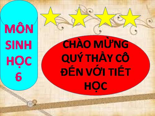 Bài 47. Thực vật bảo vệ đất và nguồn nước