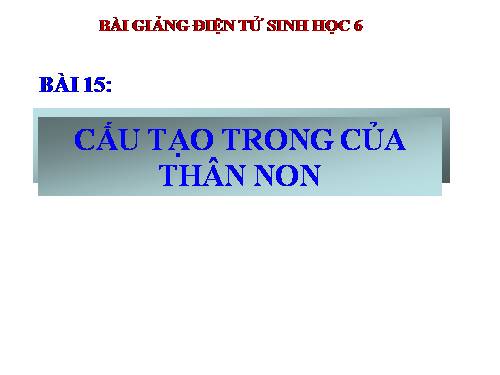 Bài 15. Cấu tạo trong của thân non