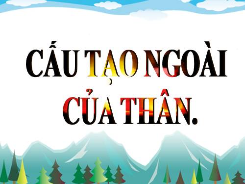 Bài 13. Cấu tạo ngoài của thân