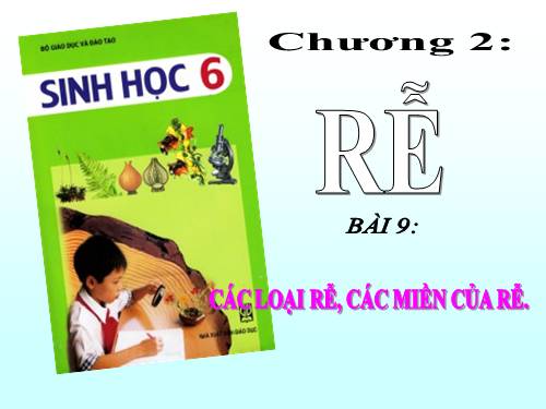 Bài 9. Các loại rễ, các miền của rễ