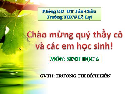 Bài 11. Sự hút nước và muối khoáng của rễ