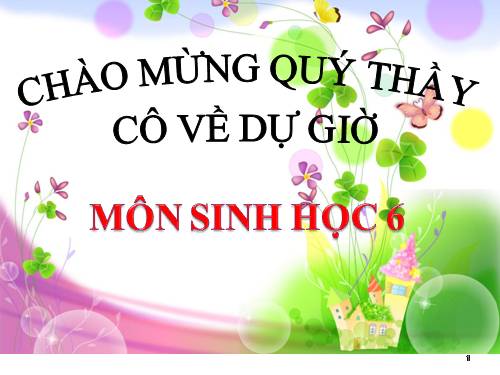 Bài 19. Đặc điểm bên ngoài của lá