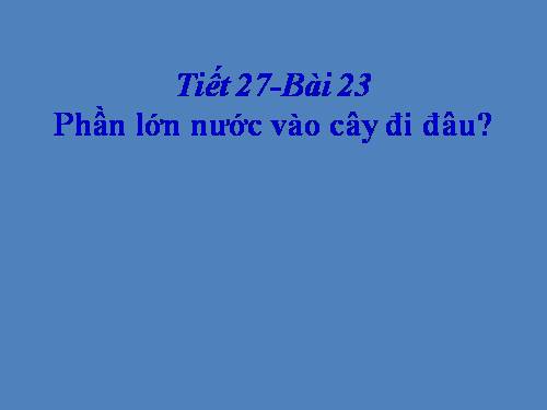 Bài 24. Phần lớn nước vào cây đi đâu?