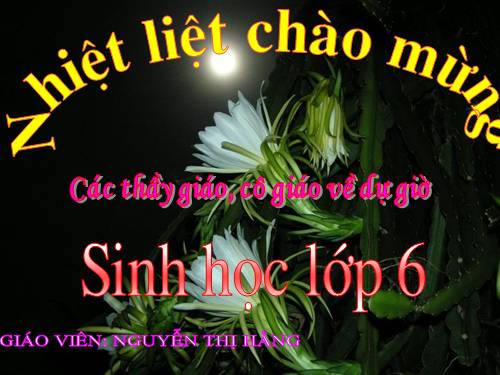 Thực hành quan sát biến dạng của thân