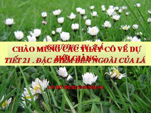 Bài 19. Đặc điểm bên ngoài của lá