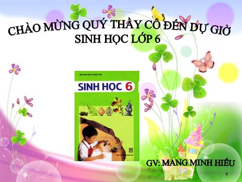 Bài 13. Cấu tạo ngoài của thân