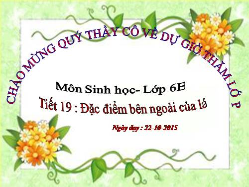 Bài 19. Đặc điểm bên ngoài của lá