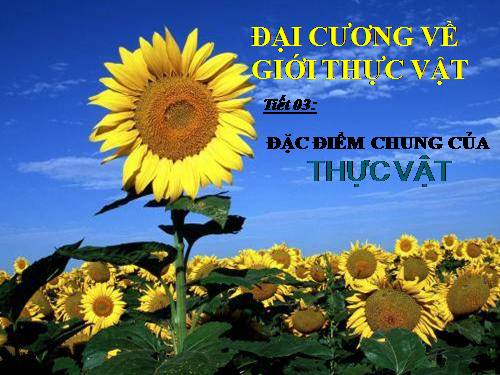 Bài 3. Đặc điểm chung của thực vật