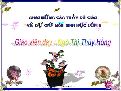 Bài 11. Sự hút nước và muối khoáng của rễ