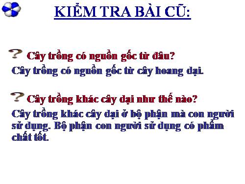 Bài 46. Thực vật góp phần điều hoà khí hậu