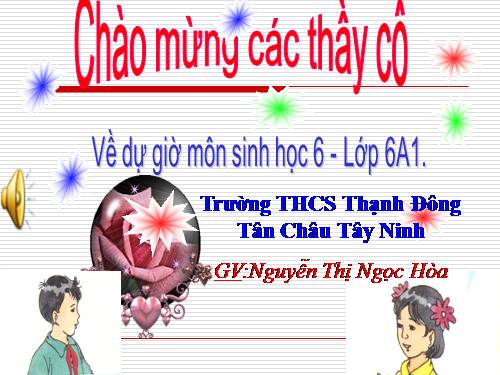 Bài 13. Cấu tạo ngoài của thân