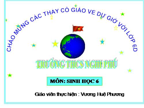 Bài 12. Biến dạng của rễ