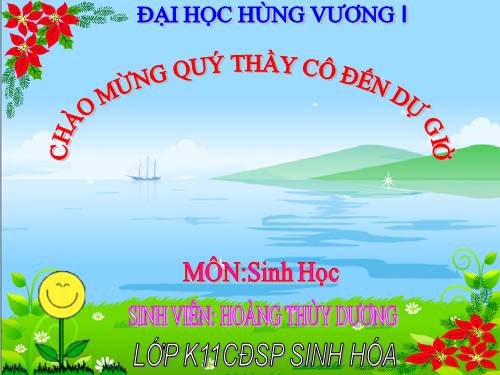 Bài 46. Thực vật góp phần điều hoà khí hậu