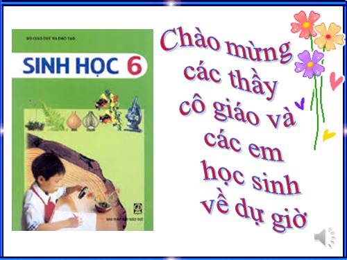 Bài 17. Vận chuyển các chất trong thân