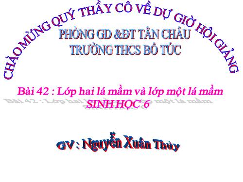 Bài 42. Lớp Hai lá mầm và lớp Một lá mầm