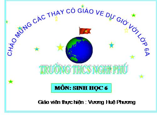 Bài 11. Sự hút nước và muối khoáng của rễ