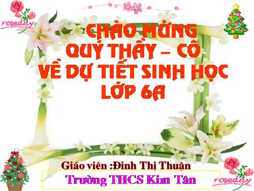 Bài 12. Biến dạng của rễ