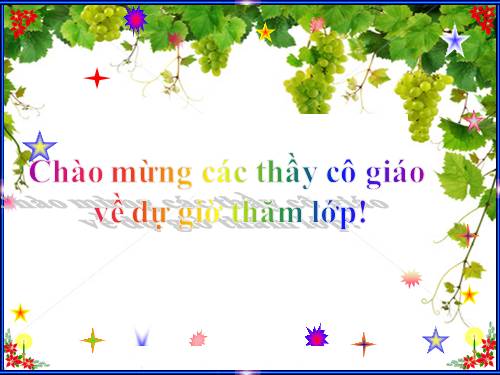 Bài 20. Cấu tạo trong của phiến lá