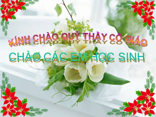 Bài 11. Sự hút nước và muối khoáng của rễ