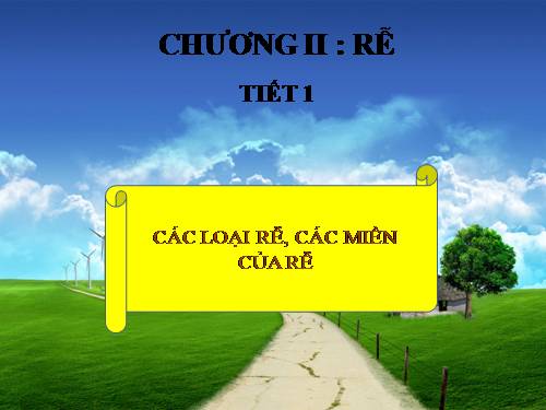 Bài 9. Các loại rễ, các miền của rễ