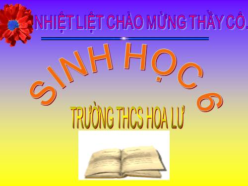 Bài 40. Hạt trần - Cây thông