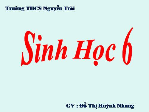 Bài 10. Cấu tạo miền hút của rễ