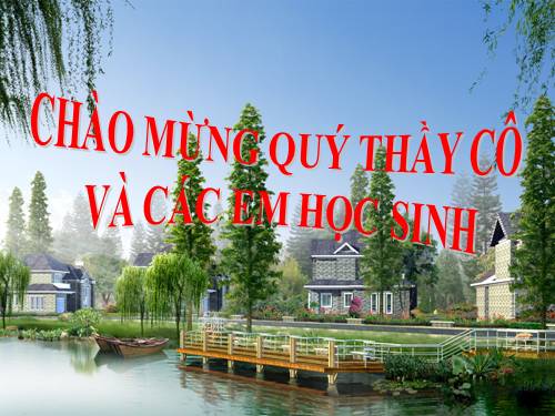 Bài 10. Cấu tạo miền hút của rễ