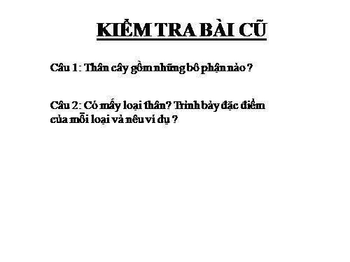 Bài 14. Thân dài ra do đâu ?