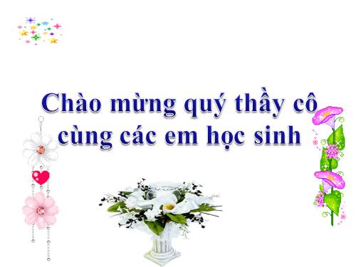 Bài 3. Đặc điểm chung của thực vật