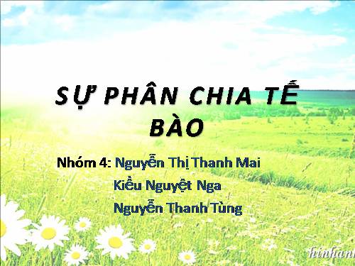 Bài 8. Sự lớn lên và phân chia của tế bào