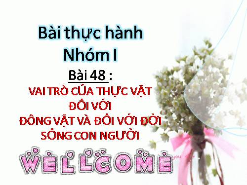 Bài 48. Vai trò của thực vật đối với động vật và đối với đời sống con người