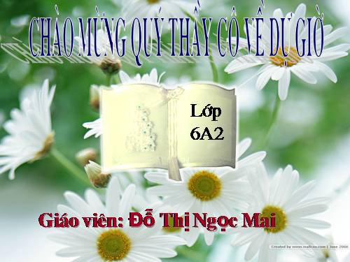 Bài 20. Cấu tạo trong của phiến lá