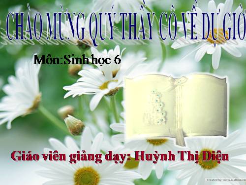 Bài 19. Đặc điểm bên ngoài của lá