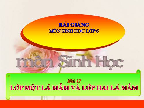Bài 42. Lớp Hai lá mầm và lớp Một lá mầm