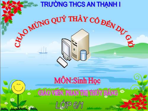 Bài 46. Thực vật góp phần điều hoà khí hậu