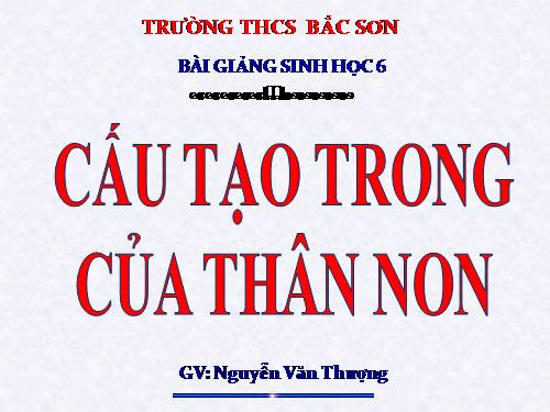 Bài 15. Cấu tạo trong của thân non