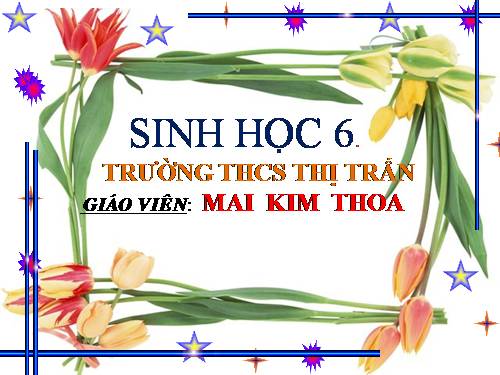 Bài 26. Sinh sản sinh dưỡng tự nhiên