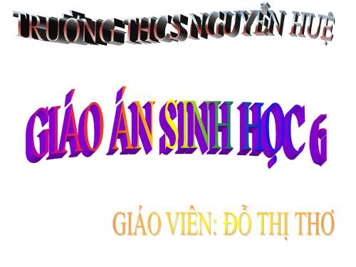 Bài 21. Quang hợp