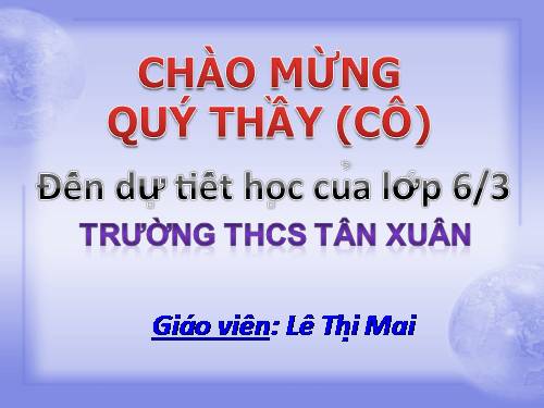 Bài 40. Hạt trần - Cây thông