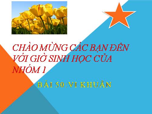 Bài 50. Vi khuẩn