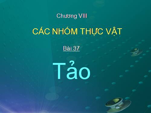 Bài 37. Tảo