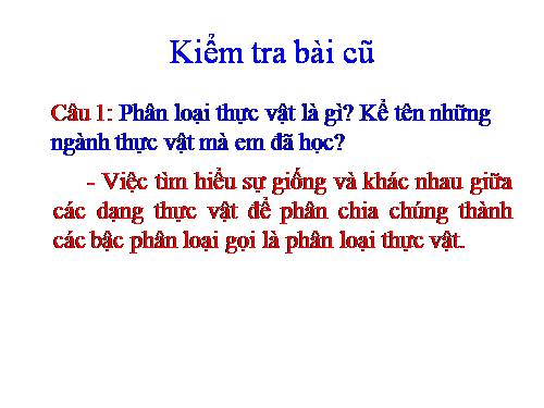 Bài 45. Nguồn gốc cây trồng