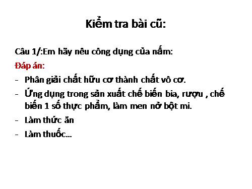 Bài 52. Địa y