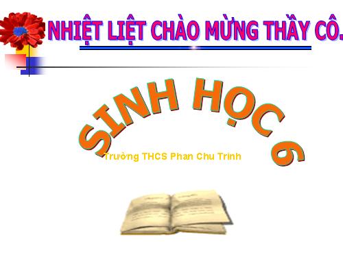 Bài 48. Vai trò của thực vật đối với động vật và đối với đời sống con người